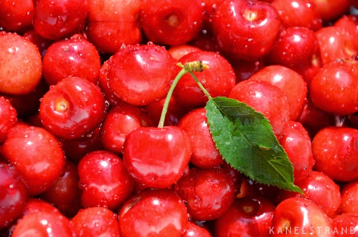 Freshly picked cherries by Kanelstrand Freshly picked cherries by Kanelstrand