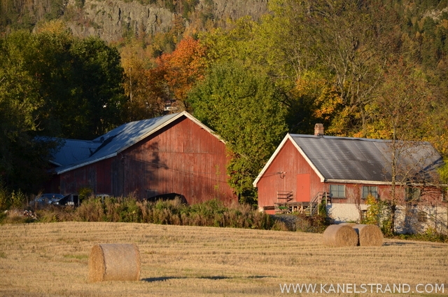 barn and field