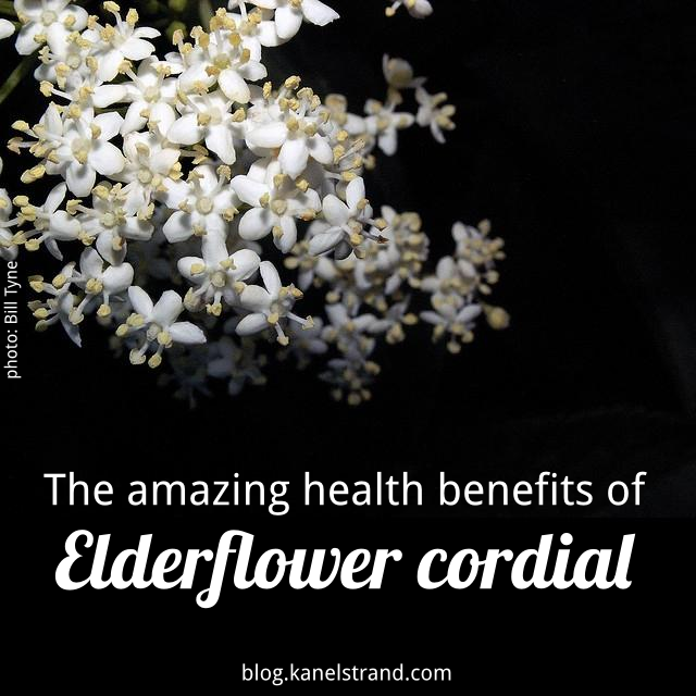health benefits of elderflower cordial and how to make it at home via @kanelstrand