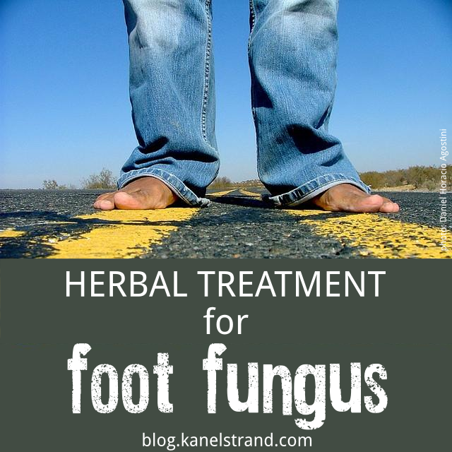 Effective Herbal Treatment for Foot Fungus (Athlete's foot) via @kanelstrand
