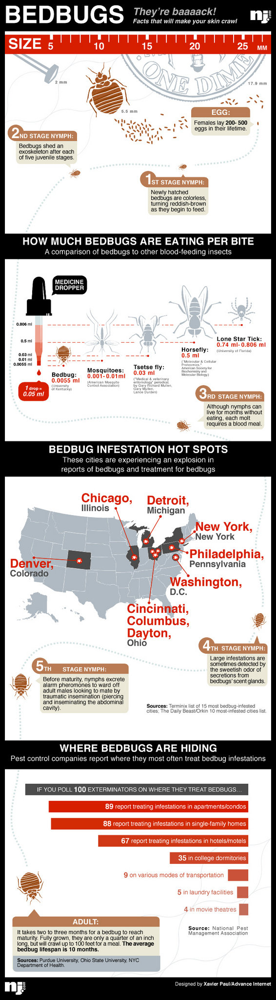 Bedbug facts to make your skin crawl
